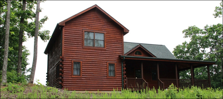 Professional Log Home Borate Application  Edenton,  North Carolina